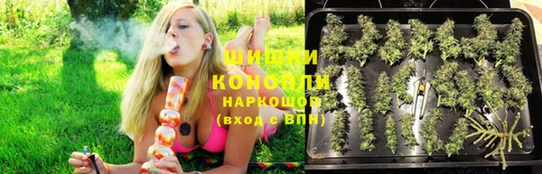 трава Мегион