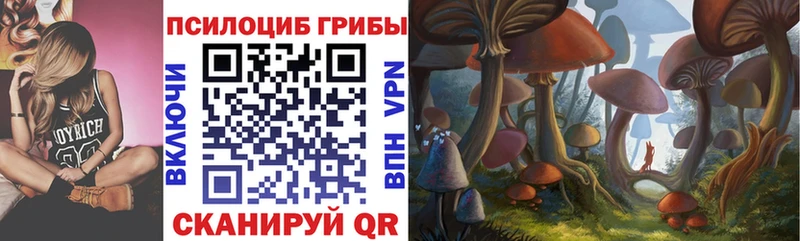 Псилоцибиновые грибы Cubensis  Пенза 