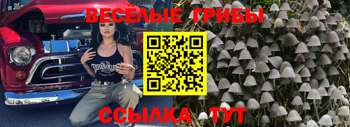 Псилоцибиновые грибы мицелий Пенза