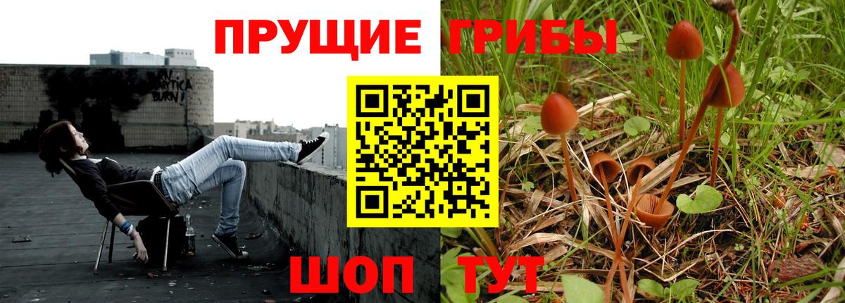 Галлюциногенные грибы прущие грибы  Пенза 